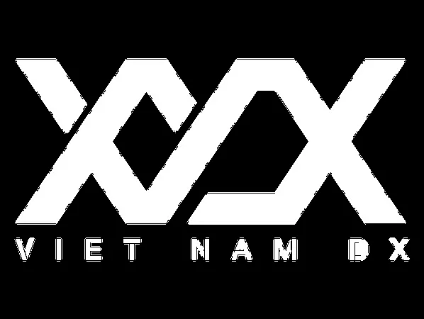 VN DX